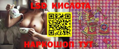 шишки Апшеронск